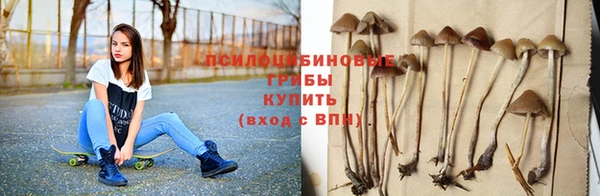 соль ск Бронницы